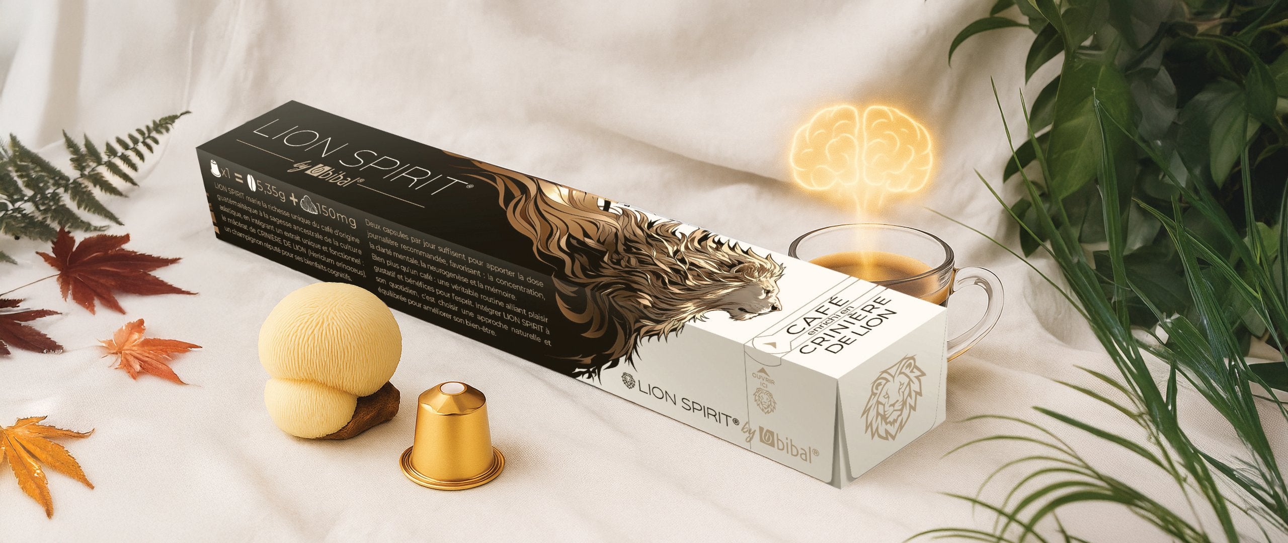 Présentation Lion Spirit - Focus